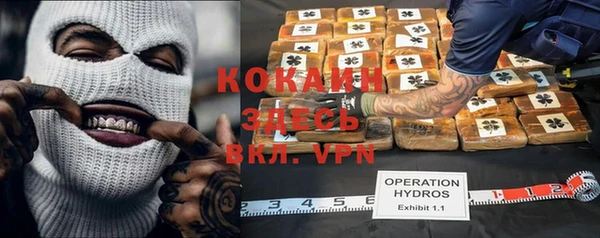 ПСИЛОЦИБИНОВЫЕ ГРИБЫ Бронницы