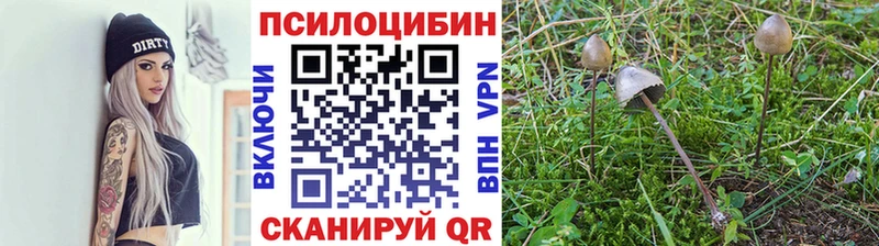 Псилоцибиновые грибы Psilocybe  площадка телеграм  Сосногорск  магазин продажи наркотиков 